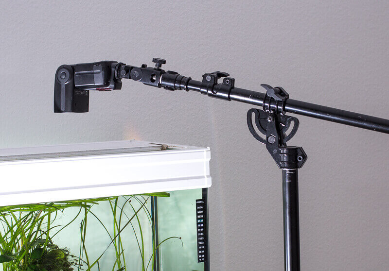 Aquarienfotografie, Galgenstativ mit Systemblitz