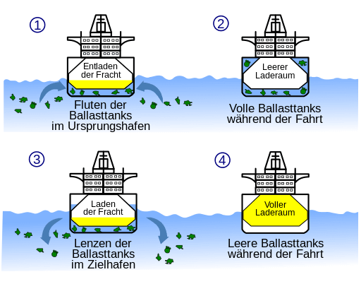 Ballastwasser